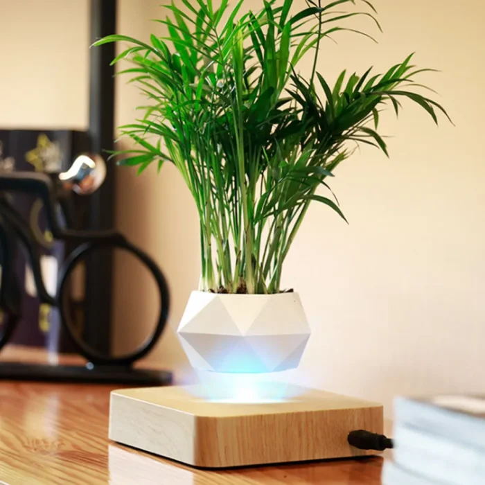 AuraPlanter - Image 2