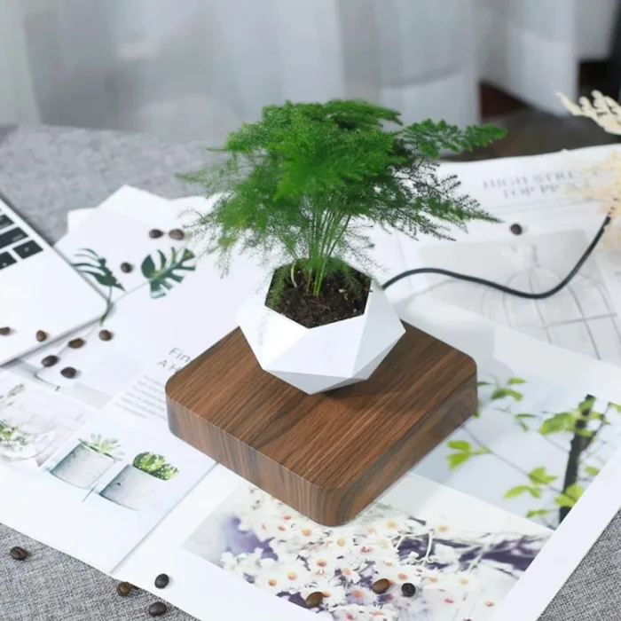 AuraPlanter - Image 6