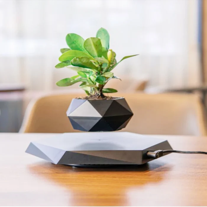 AuraPlanter - Image 3